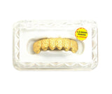 Hip Hop Rapper's Style Dental Grillz in Gold-Tone, FHS616G