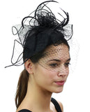 NYFASHION101 Cocktail Formal Party Face Veil Floral Mesh Fascinator Headband