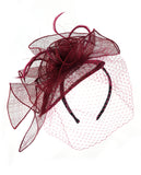 NYFASHION101 Cocktail Formal Party Face Veil Floral Mesh Fascinator Headband