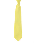 Men's Solid Color Polyester Tie PS00