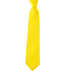 Men's Solid Color Polyester Tie PS00