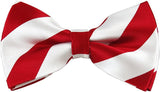 NYFASHION101 Men's College Stripe Adjustable Pre-Tied Bow Tie