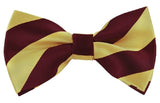 NYFASHION101 Men's College Stripe Adjustable Pre-Tied Bow Tie