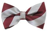 NYFASHION101 Men's College Stripe Adjustable Pre-Tied Bow Tie