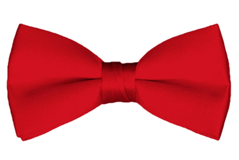 NYFASHION101 Men's Solid Color Adjustable Pre-Tied Bow Tie