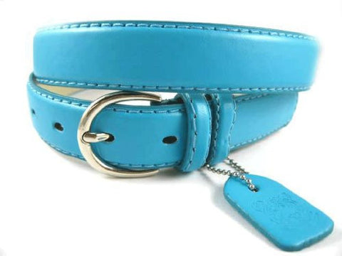 NEW Ladies Basic Trendy Faux Leather Thin Belt Turquoise
