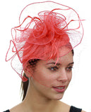 NYFASHION101 Cocktail Formal Party Face Veil Floral Mesh Fascinator Headband