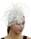 NYFASHION101 Cocktail Formal Party Face Veil Floral Mesh Fascinator Headband