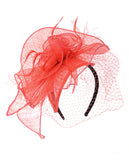 NYFASHION101 Cocktail Formal Party Face Veil Floral Mesh Fascinator Headband