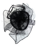 NYFASHION101 Cocktail Formal Party Face Veil Floral Mesh Fascinator Headband