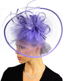 NYFASHION101 Cocktail Sinamay Fascinator Headband Feather & Flower Design