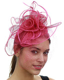 NYFASHION101 Cocktail Formal Party Face Veil Floral Mesh Fascinator Headband