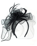NYFASHION101 Cocktail Formal Party Face Veil Floral Mesh Fascinator Headband