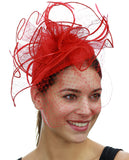 NYFASHION101 Cocktail Formal Party Face Veil Floral Mesh Fascinator Headband