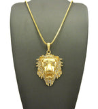 Stone Stud Noble Lion Head Pendant w/ Chain Necklace